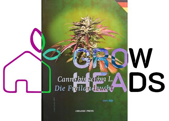 Cannabis Sativa L. - die Freilandzucht