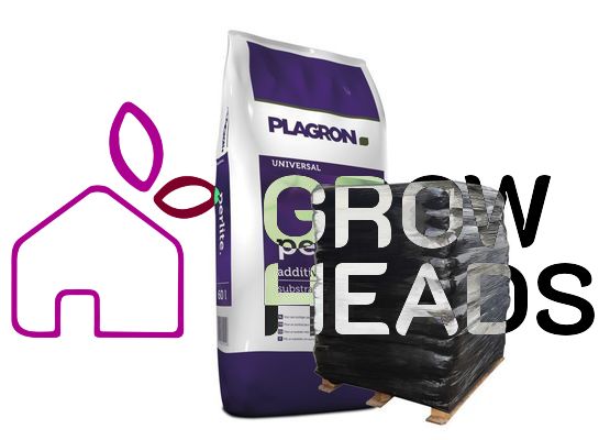 Plagron Perlite Palette 39x 60 Liter