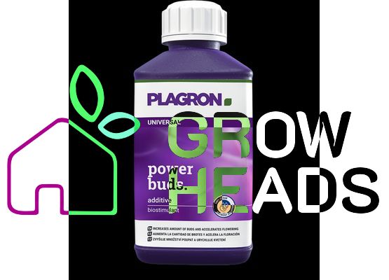 Plagron Power Buds 100ml
