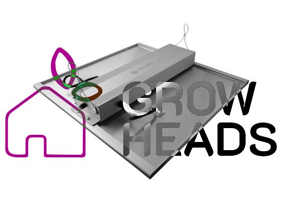 Caluma LED Force 240 W