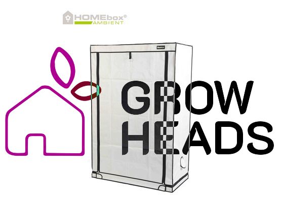 HOMEbox Ambient R120S 120 x 60 x 180cm
