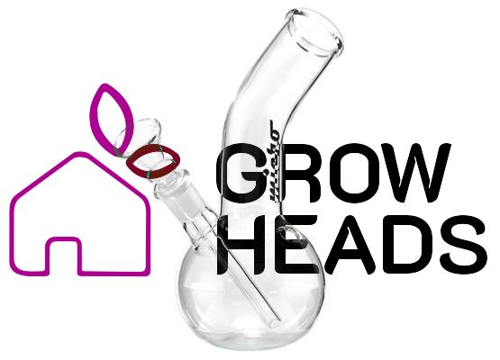 Micro | Glass Bong - H:18cm- Ø:36mm Socket:14.5mm