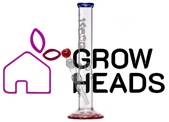 Boost Cane Glass Bong - H:38cm -Ø:50mm -Socket:18.8mm