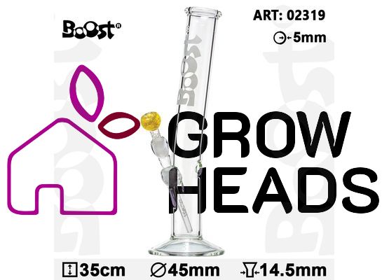 Boost | Hangover Glass Bong-H:35cm-Ø:45mm- Socket:14.5mm-WT:5mm (circa)