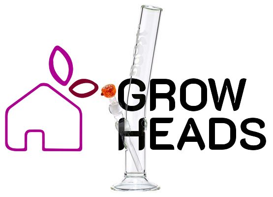 Boost | Hangover Glass Bong-H:42cm-Ø:50mm- Socket:18.8mm-WT:5mm (circa)