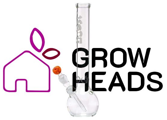 Boost | Bouncer Glass Bong -H:41cm- Ø:50mm- Socket:18.8mm- WT:5mm (circa)