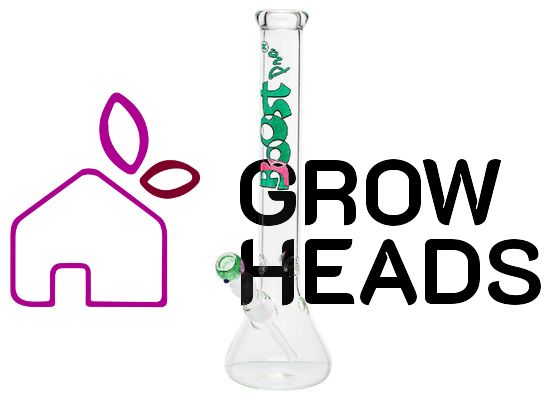 Boost | Beaker Glass Bong -H:44cm-Ø:50mm- Socket:18.8mm-WT:5mm (circa)