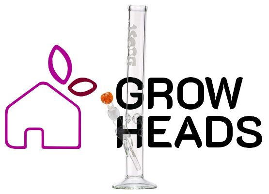 Boost Cane Glass Bong- H:45cm- Ø:45mm- Socket:18.8mm-