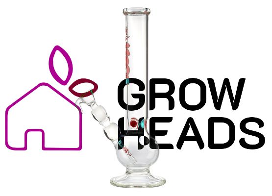 Boost Pro | Bouncer Glass Bong H:32cm Ø:40mm  SG:14.5mm WT: 5mm (circa)