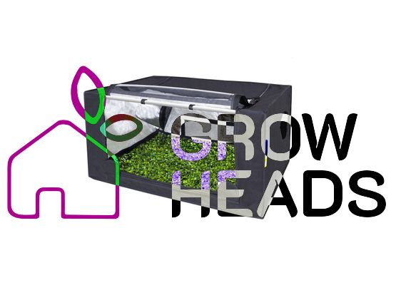 GHP Probox Propagator M 80x60x40cm