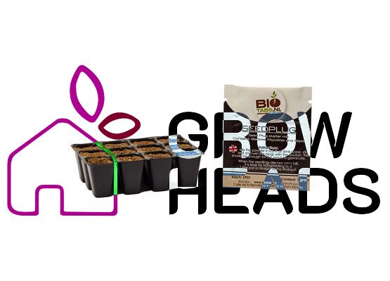 BioTabs SeedPlugs & Startermix für Samen