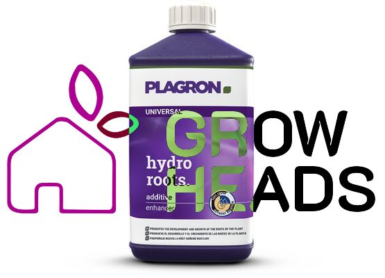 Plagron Hydro Roots 1,0l