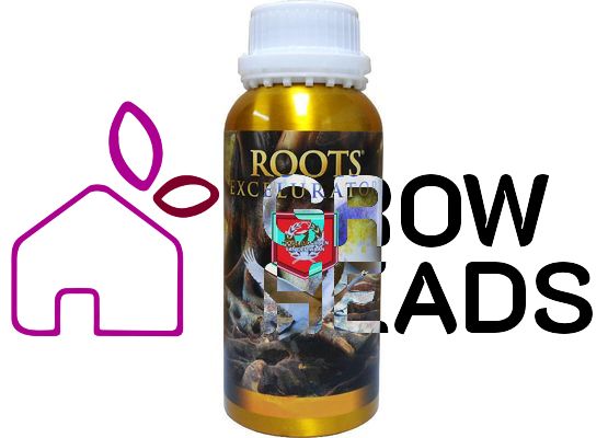 House & Garden Roots Excelurator 1,0l