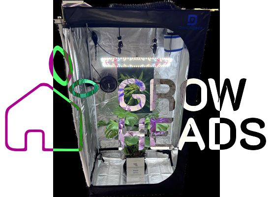 100 x 60 x 180cm Komplettset mit 100W LED