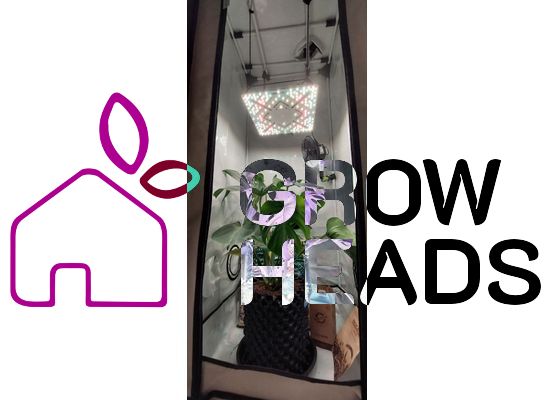 Homebox Q60+  inkl.  100W Flusxshield Bloomstar LED Set