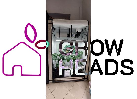 Homebox R120S + 220W LED HortiOne Set