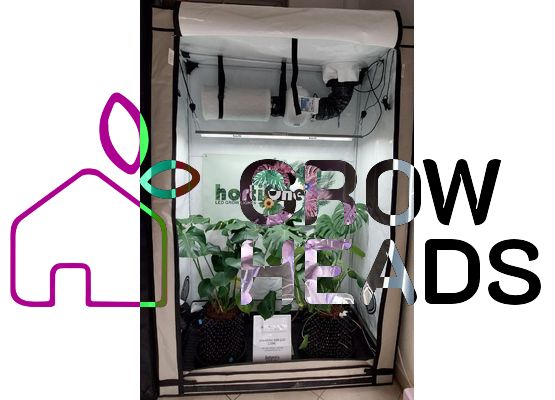 Homebox 120x60x180cm + HortiOne 600 LED 220W + Prima Klima 125mm Klimagesteuerte Abluft mit Filter