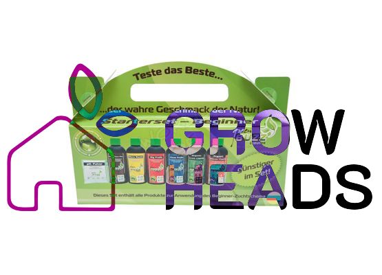 Green Buzz Starter Set - Beginner 
