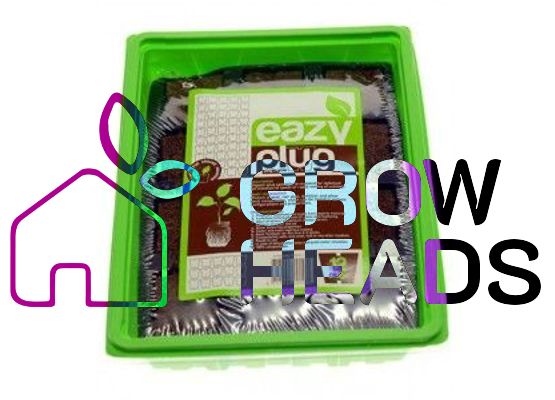 12 EazyPlug mit Gewächshaus 23x18x13 cm