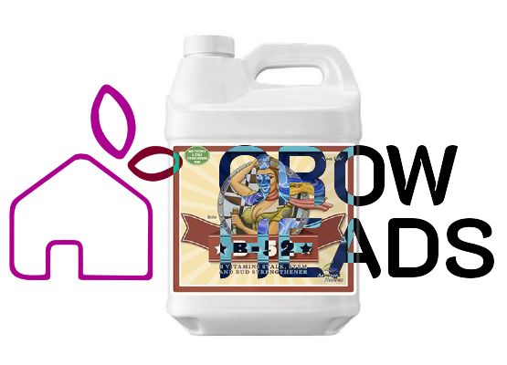 Advanced Nutrients B-52 1,0l