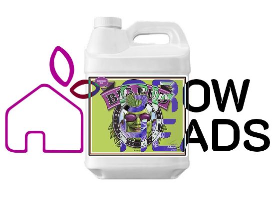 Advanced Nutrients Big Bud Liquid 1,0l