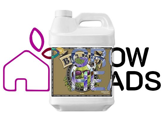 Advanced Nutrients Big Bud Coco Liquid 250ml