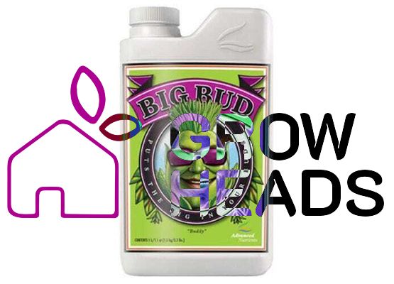 Advanced Nutrients Big Bud Liquid 250ml