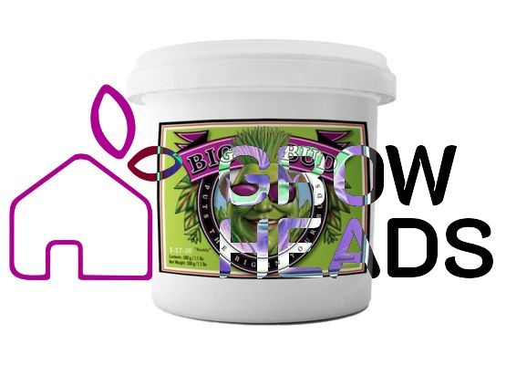 Advanced Nutrients Big Bud Powder 500g