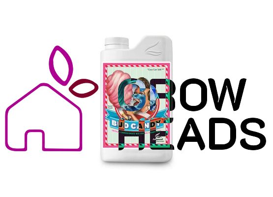 Advanced Nutrients Bud Candy 1,0l