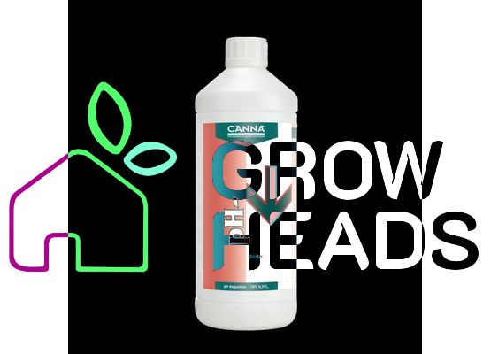 Canna pH- Blüte 10% 1,0l