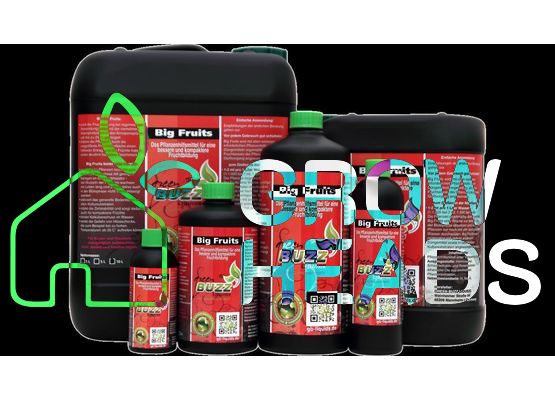 Green Buzz Big Fruits - Standard 1,0l