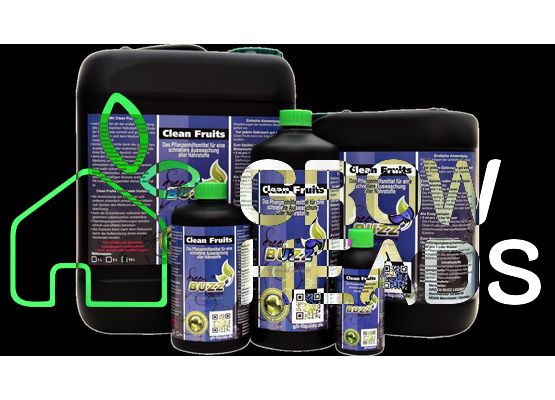 Green Buzz Clean Fruits 1,0l