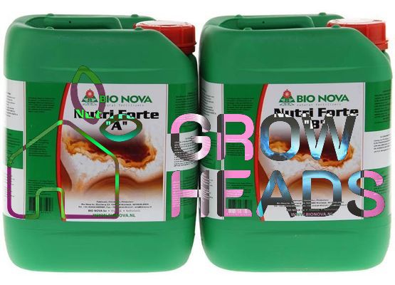 Bionova Nutri Forte A und B Hydro 20 Liter