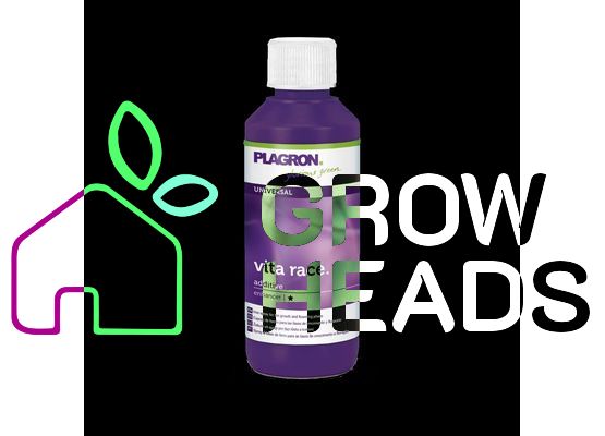 Plagron Vita Race 100ml