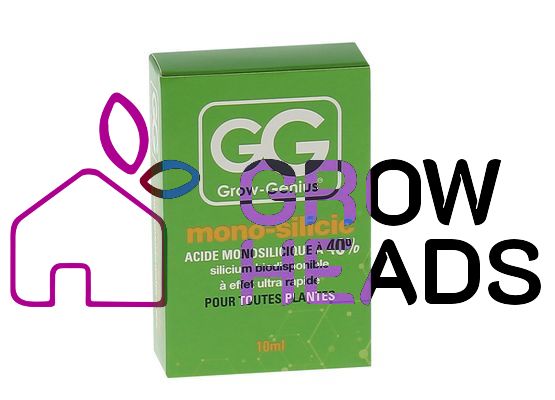 Grow Genius Mono Silic Silizium Monokieselsäure (40%) 10ml