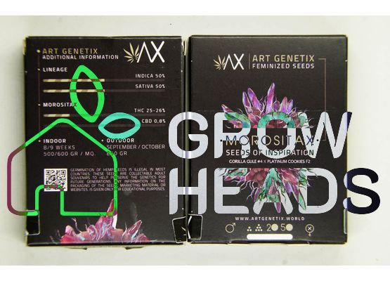 Art Genetix Morositax (3)