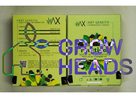 Art Genetix Fruttino (3)