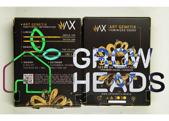 Art Genetix Banana Cake (3)