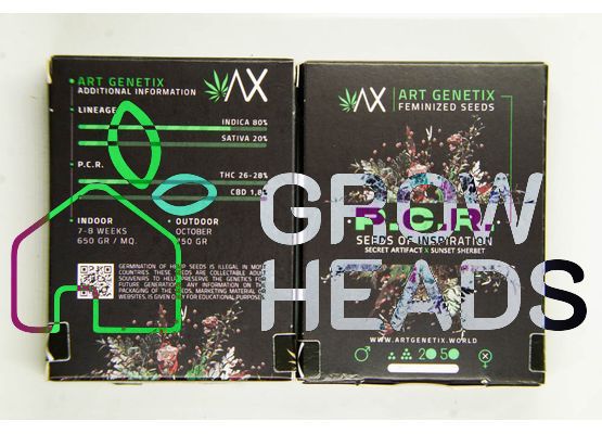 Art Genetix P.C.R. (3)