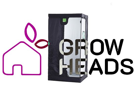 Budbox Silver PRO Medium 75x75x200 cm
