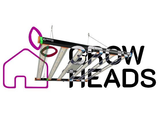 LED Florastar PRO LED - GTA 2.8 - 480W