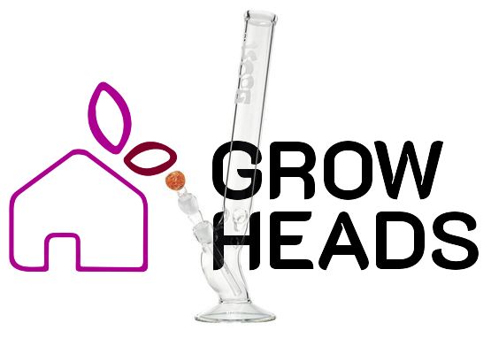 Boost Bolt Glass Bong -H:49cm- Ø:50mm- Socket:18.8mm- WT:5mm (circa)