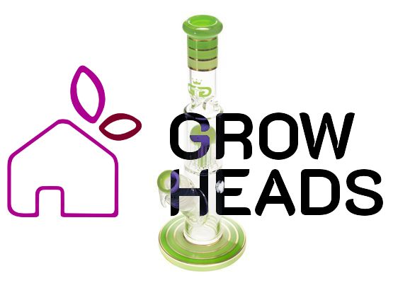 Grace Glass | Small Cane Green Barrel Tree arm perc Bong H:32,5cm Socket:29.2mm TH:5mm