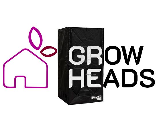 DarkBox Growzelt DB100 Lite 100 x 100 x 200 cm