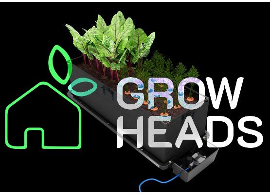 AutoPot Tray2Grow Planter