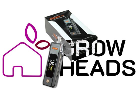 Black Leaf CIGAR X1 Vaporizer