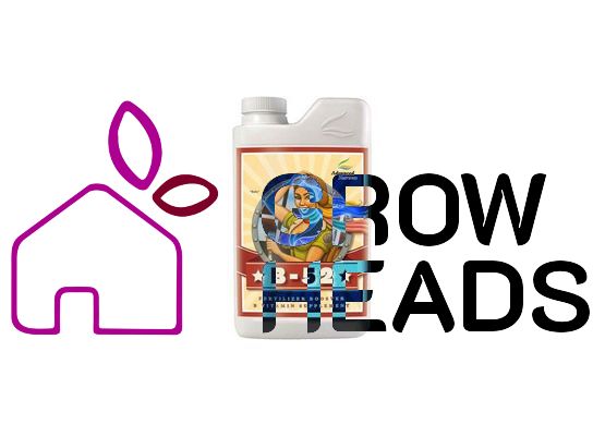 Advanced Nutrients B-52 250ml