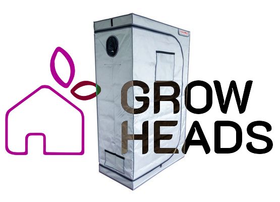 BloomStar Box RM - 110 x 60 x 180 cm