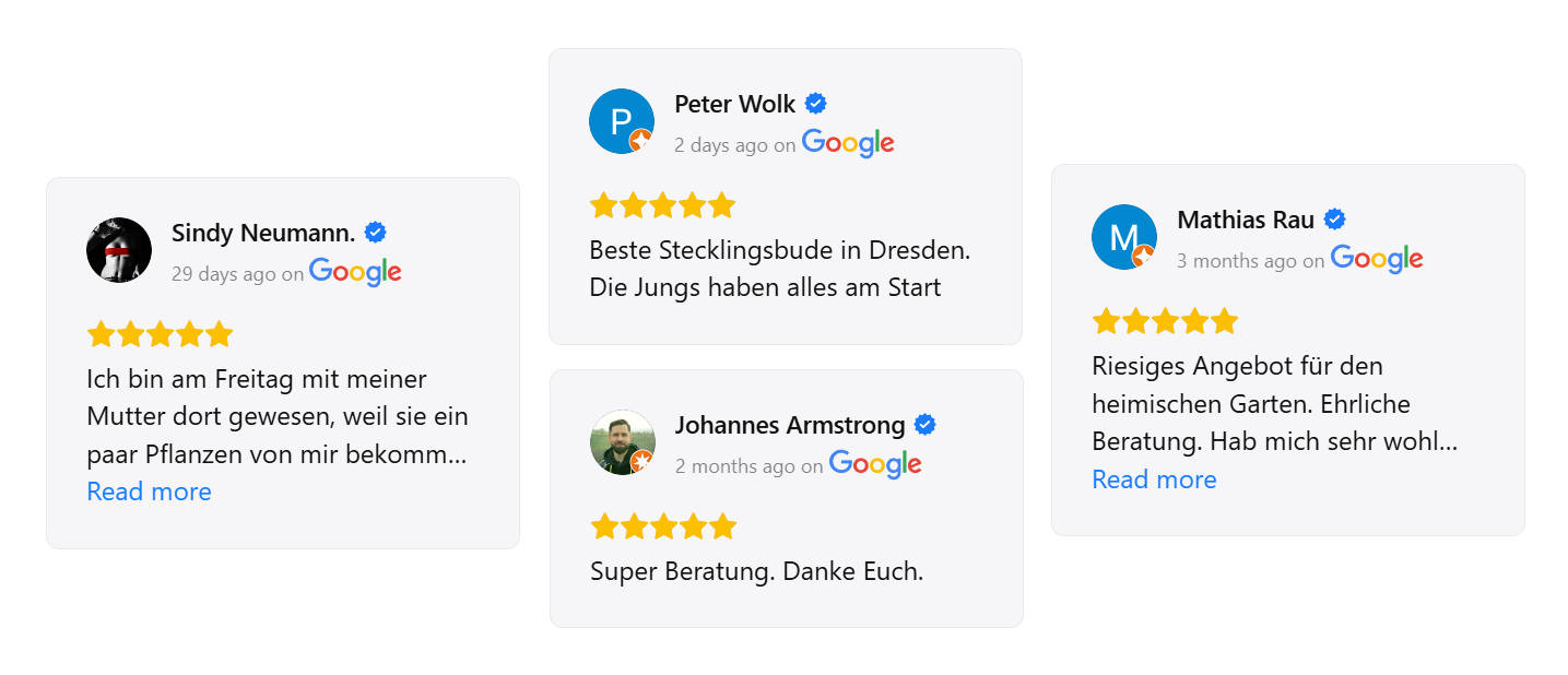 Customer Reviews